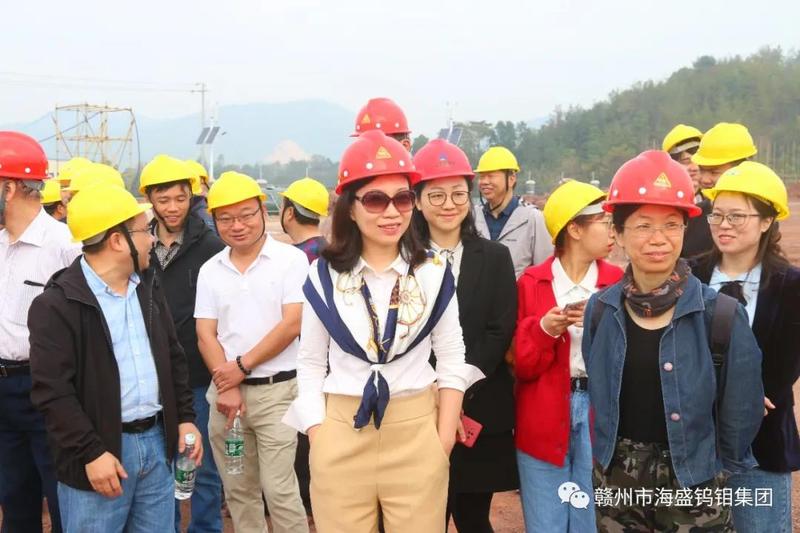 贛州市海龍鎢鉬有限公司技改搬遷項目開工5.jpg